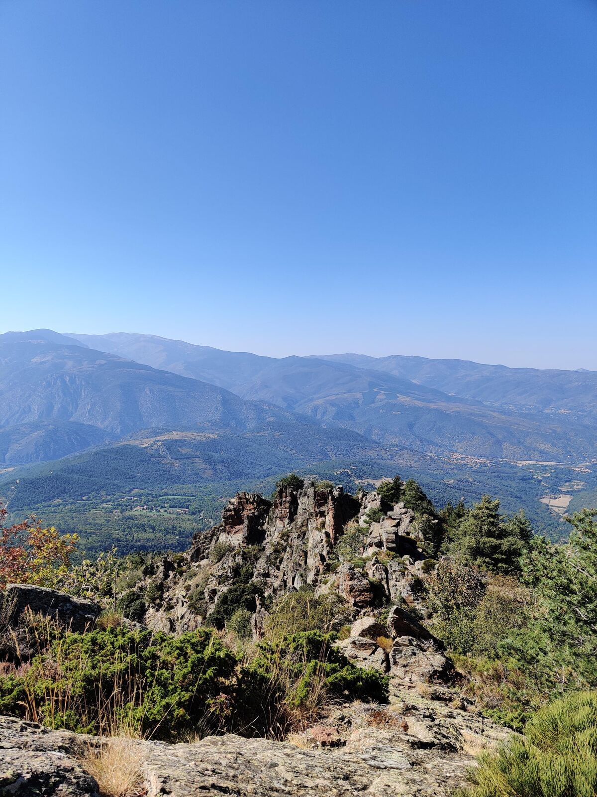 [Description de la photo 2]