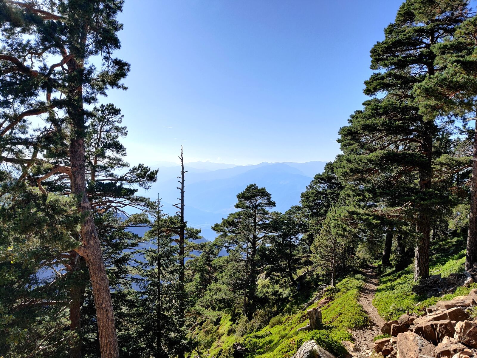 Refuge des Cortalets, Canigou