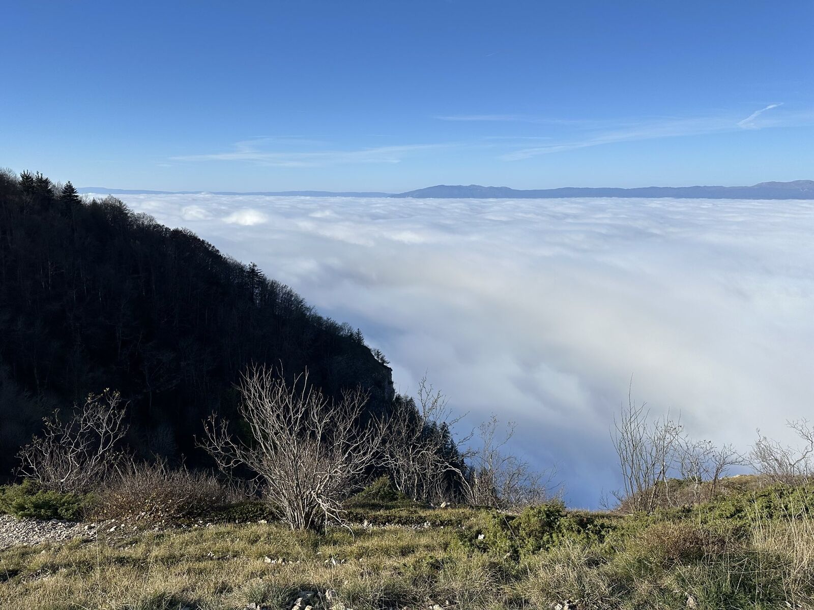 [Description de la photo 1]