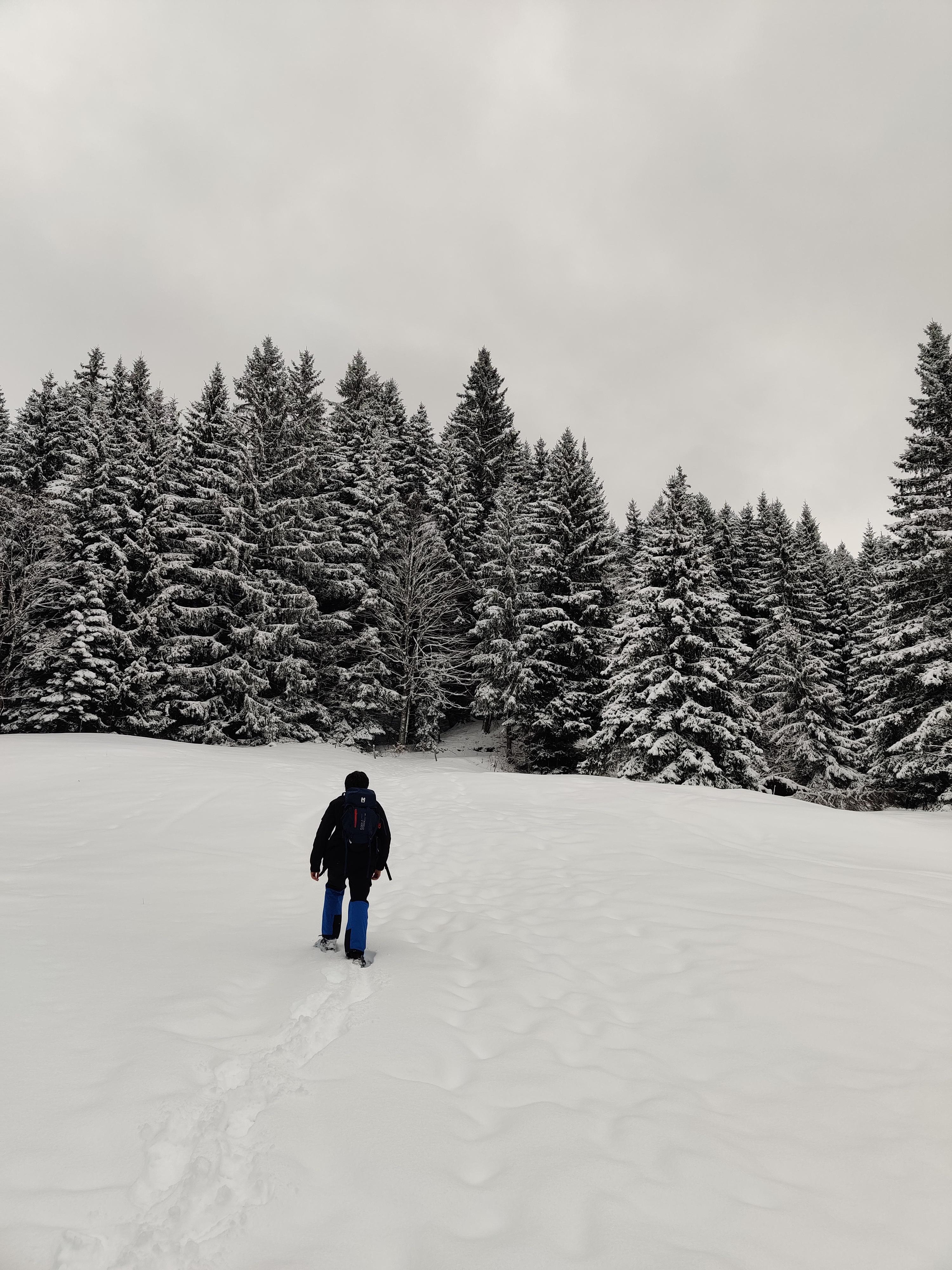 Col de la Balme, Chablais