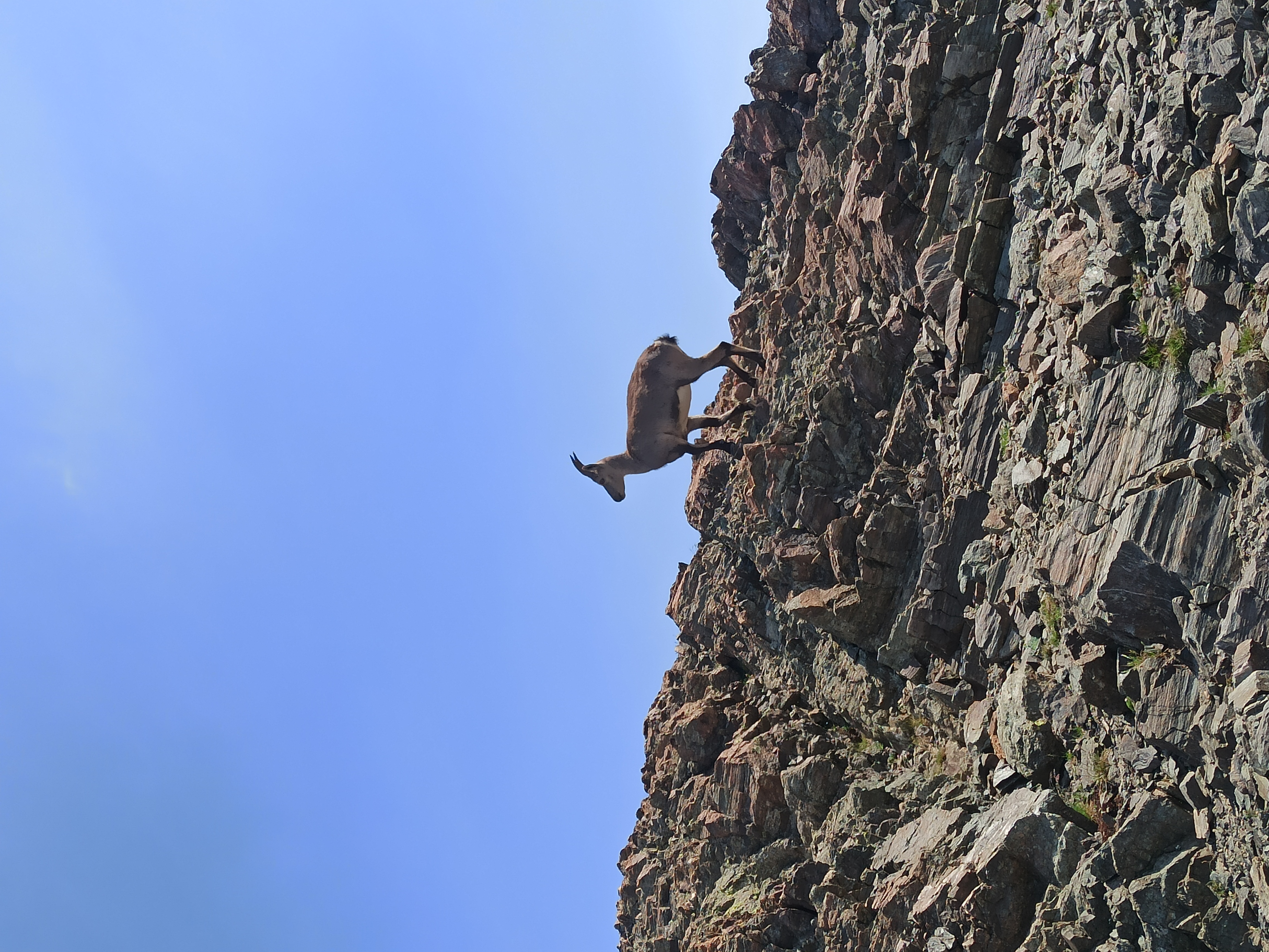 [Description de la photo 2]