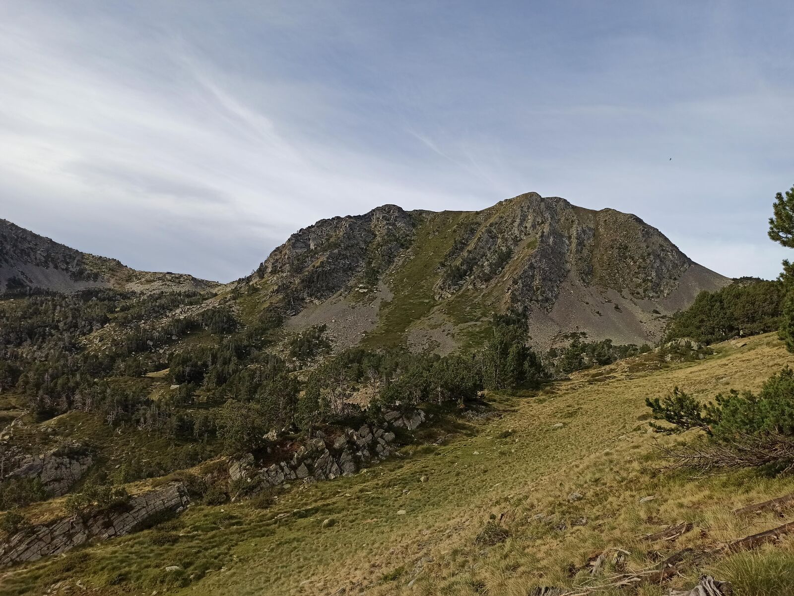 [Description de la photo 3]